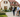 Wie funktioniert die Kaufentscheidung bei Immobilien? Was Psychologie und Verhaltensforschung über Immobilienkäufer sagen