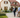 Wie funktioniert die Kaufentscheidung bei Immobilien? Was Psychologie und Verhaltensforschung über Immobilienkäufer sagen